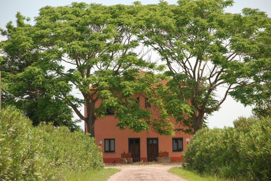 منزل الضيف ماليانو إن توسكانا  في Agriturismo Le Coccinelle المظهر الخارجي الصورة