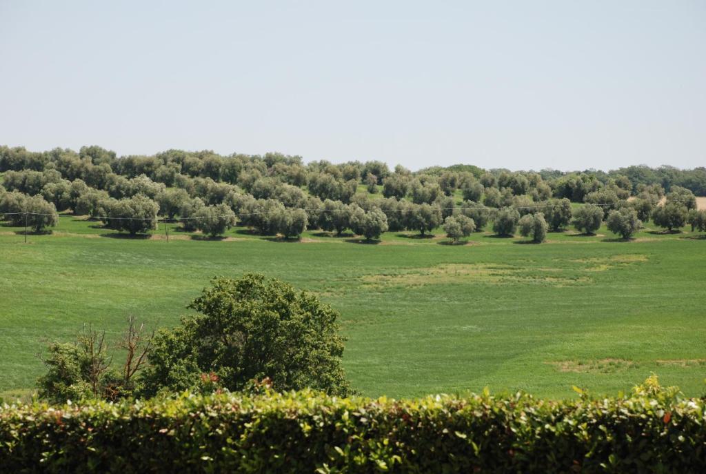 منزل الضيف ماليانو إن توسكانا  في Agriturismo Le Coccinelle المظهر الخارجي الصورة