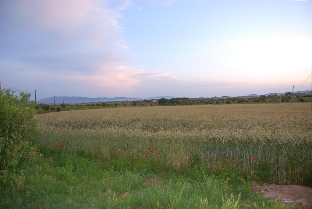 منزل الضيف ماليانو إن توسكانا  في Agriturismo Le Coccinelle المظهر الخارجي الصورة