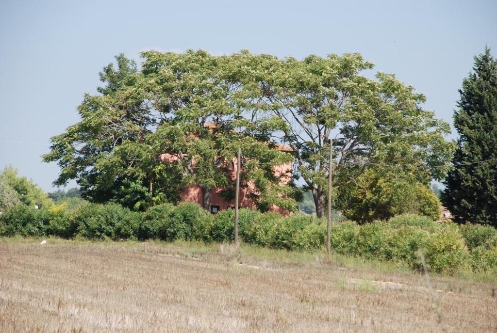 منزل الضيف ماليانو إن توسكانا  في Agriturismo Le Coccinelle المظهر الخارجي الصورة