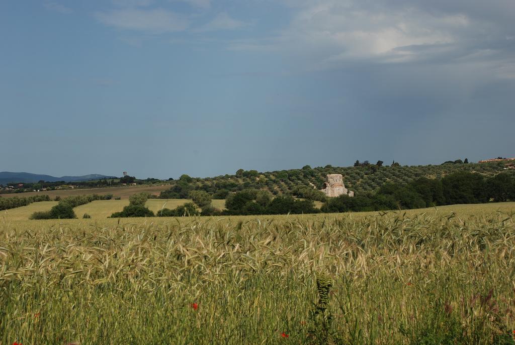 منزل الضيف ماليانو إن توسكانا  في Agriturismo Le Coccinelle المظهر الخارجي الصورة